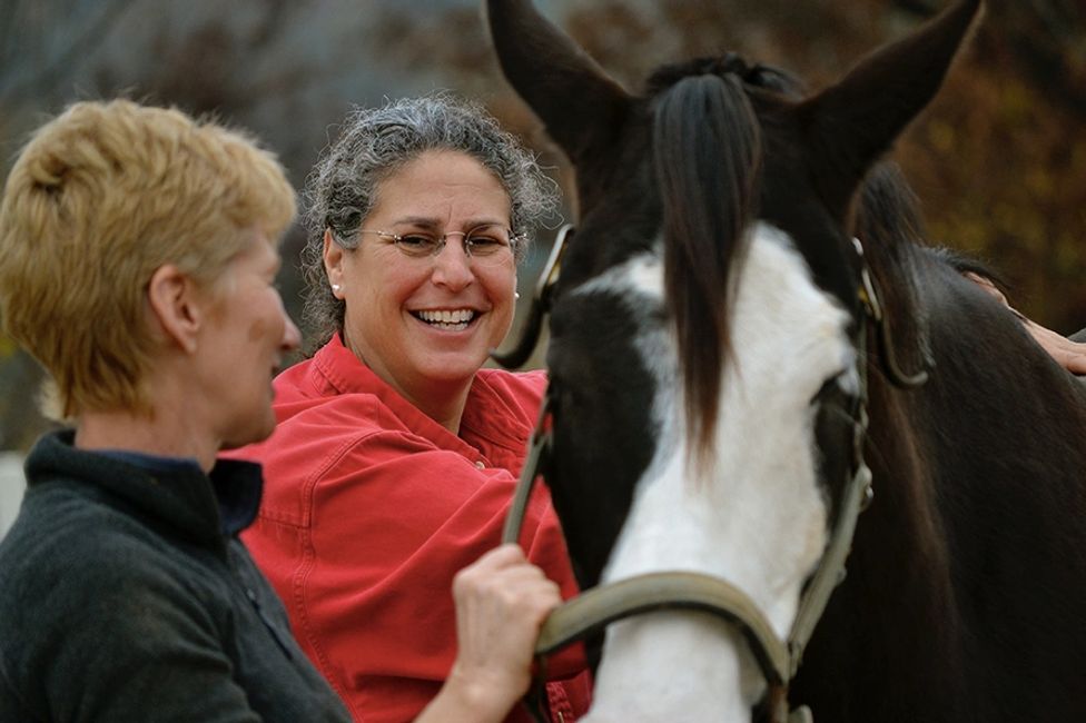 Cold Laser Therapy ShusterEquineLLC